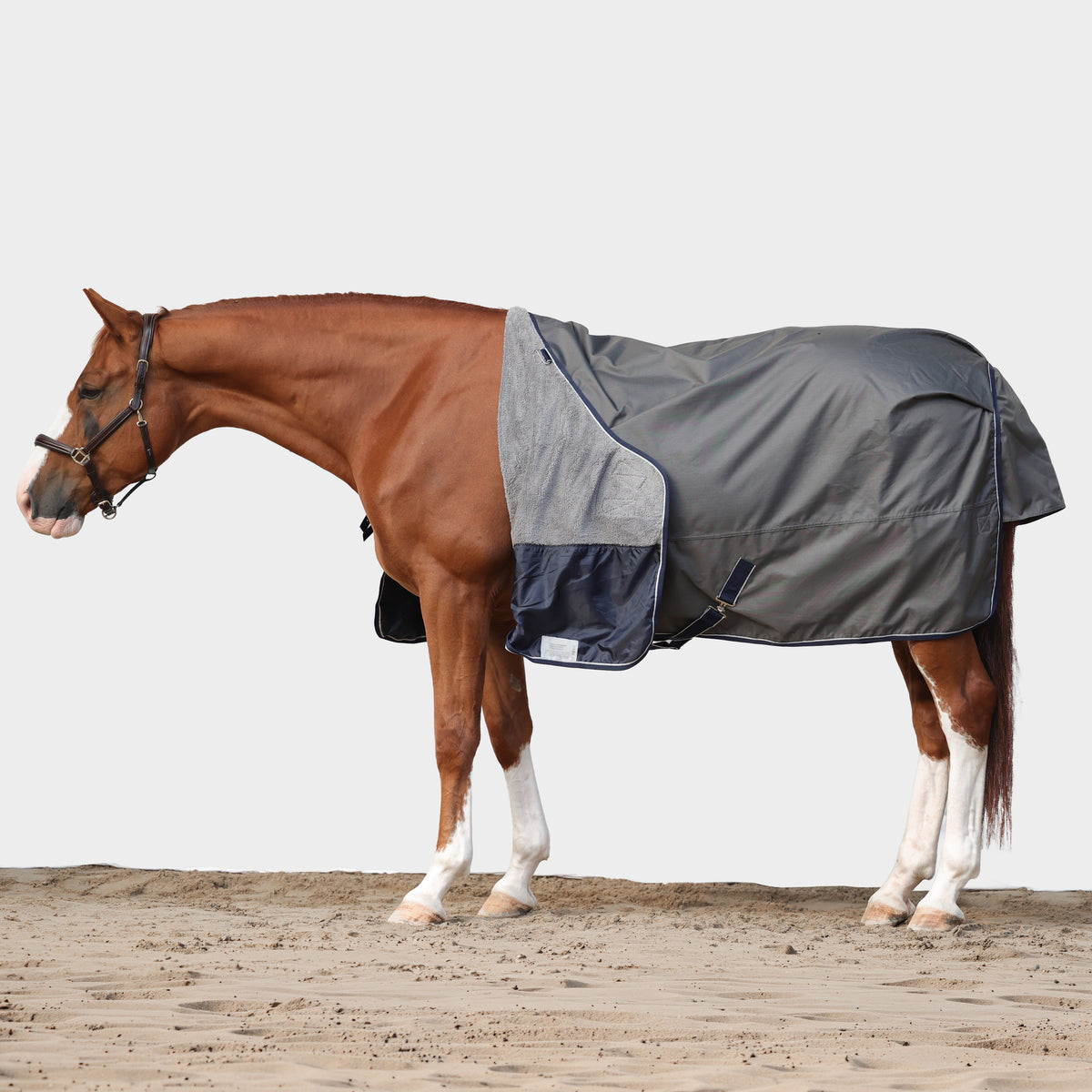 Dominick Outdoor Rug 0G 600D Cosy