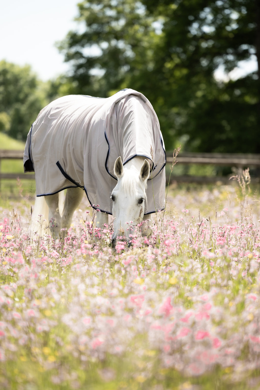 Dominick Vliegendeken + Halsdeel