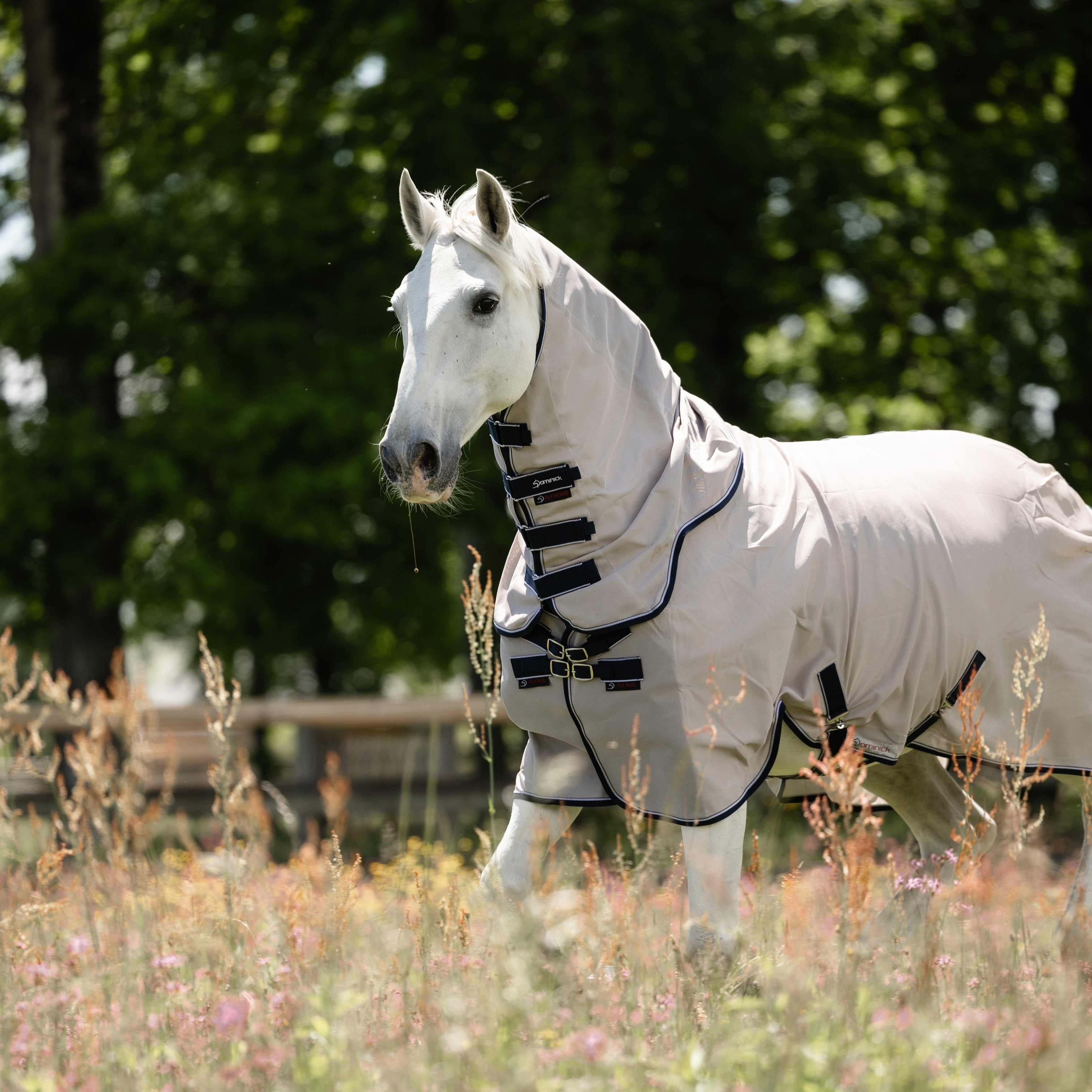 Dominick Vliegendeken + Halsdeel