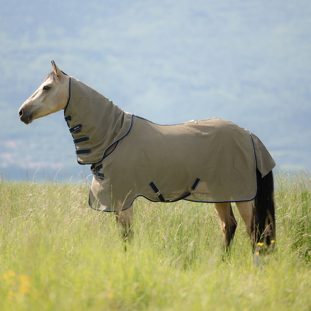Dominick Vliegendeken + Halsdeel