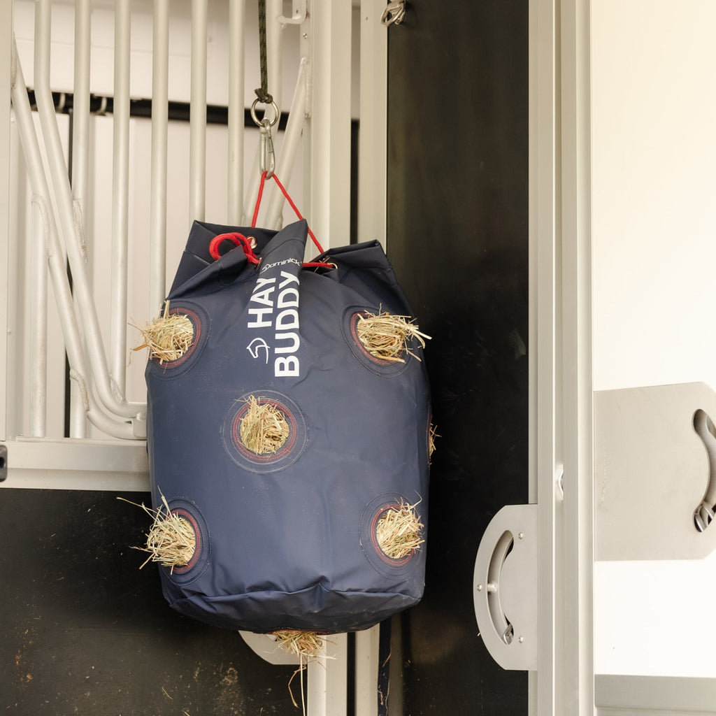 Dominick Hay Buddy-trailer