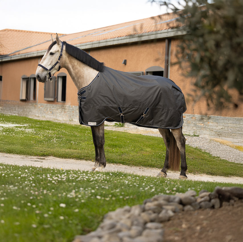 Dominick Regendeken 600D Cosy