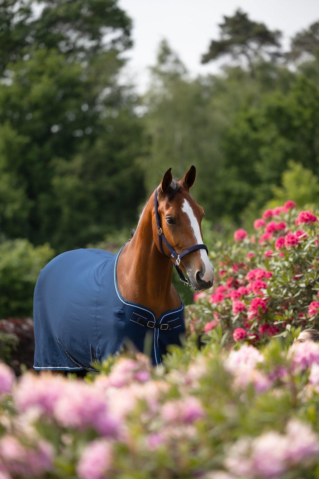 Dominick Cooler Summer Rug Lite