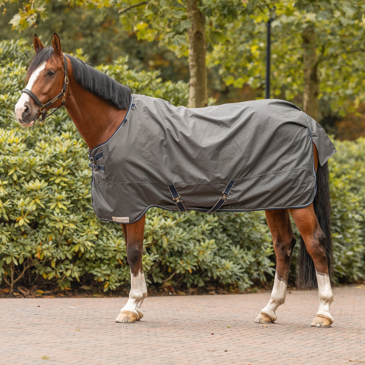 Dominick Outdoor Rug 0G 600D Silky