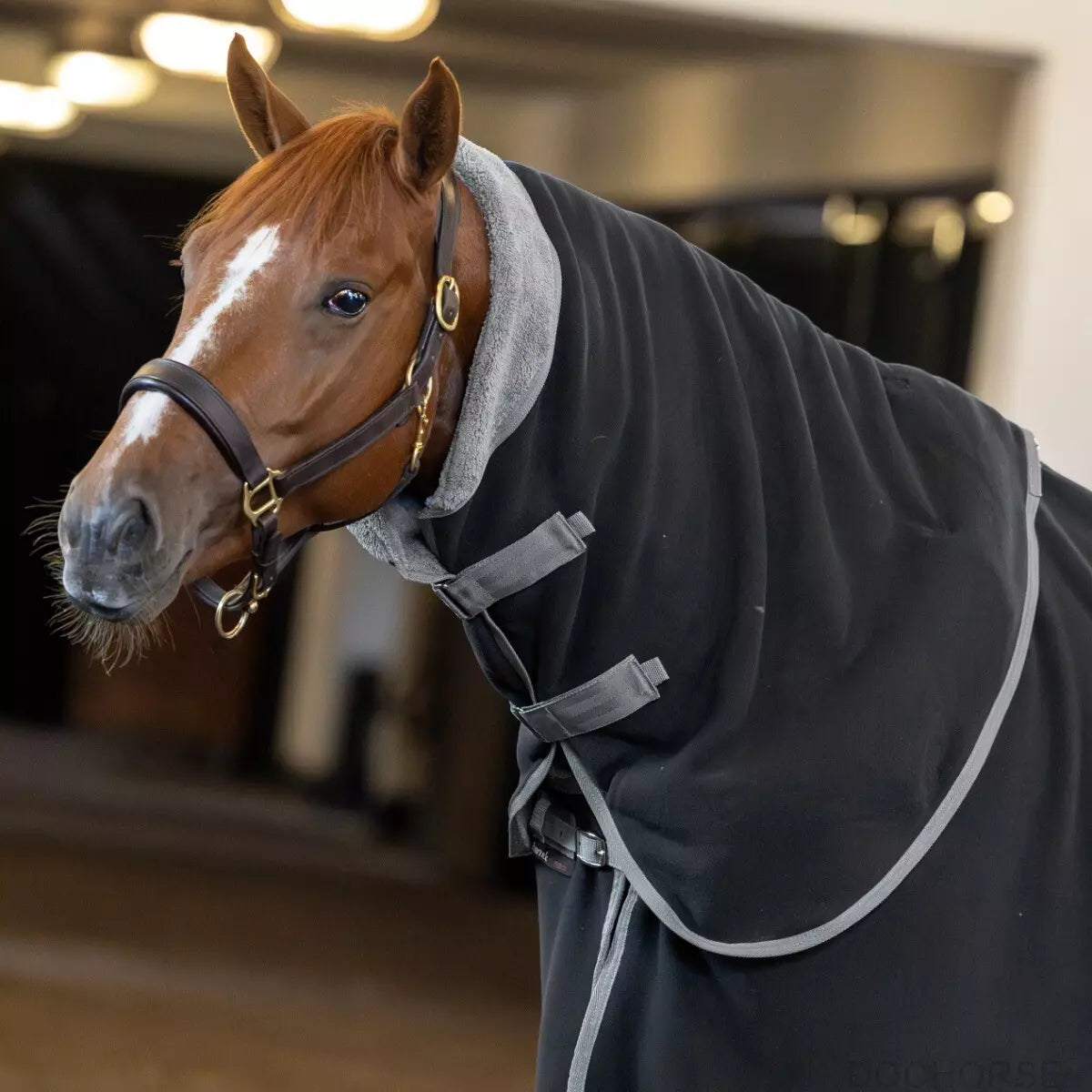 Dominick Halsdeel Cosy