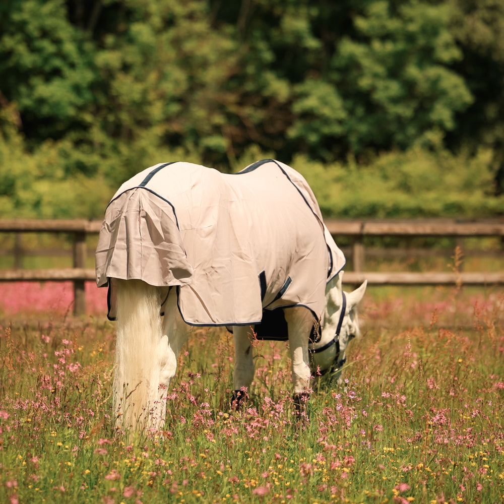Dominick Vliegendeken + Halsdeel