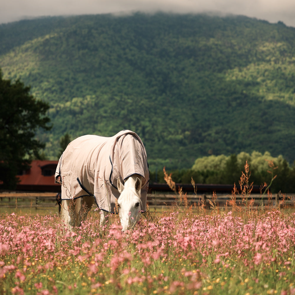 Dominick Vliegendeken + Halsdeel
