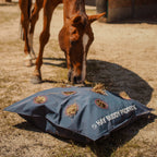 Dominick Hay Buddy Paddock