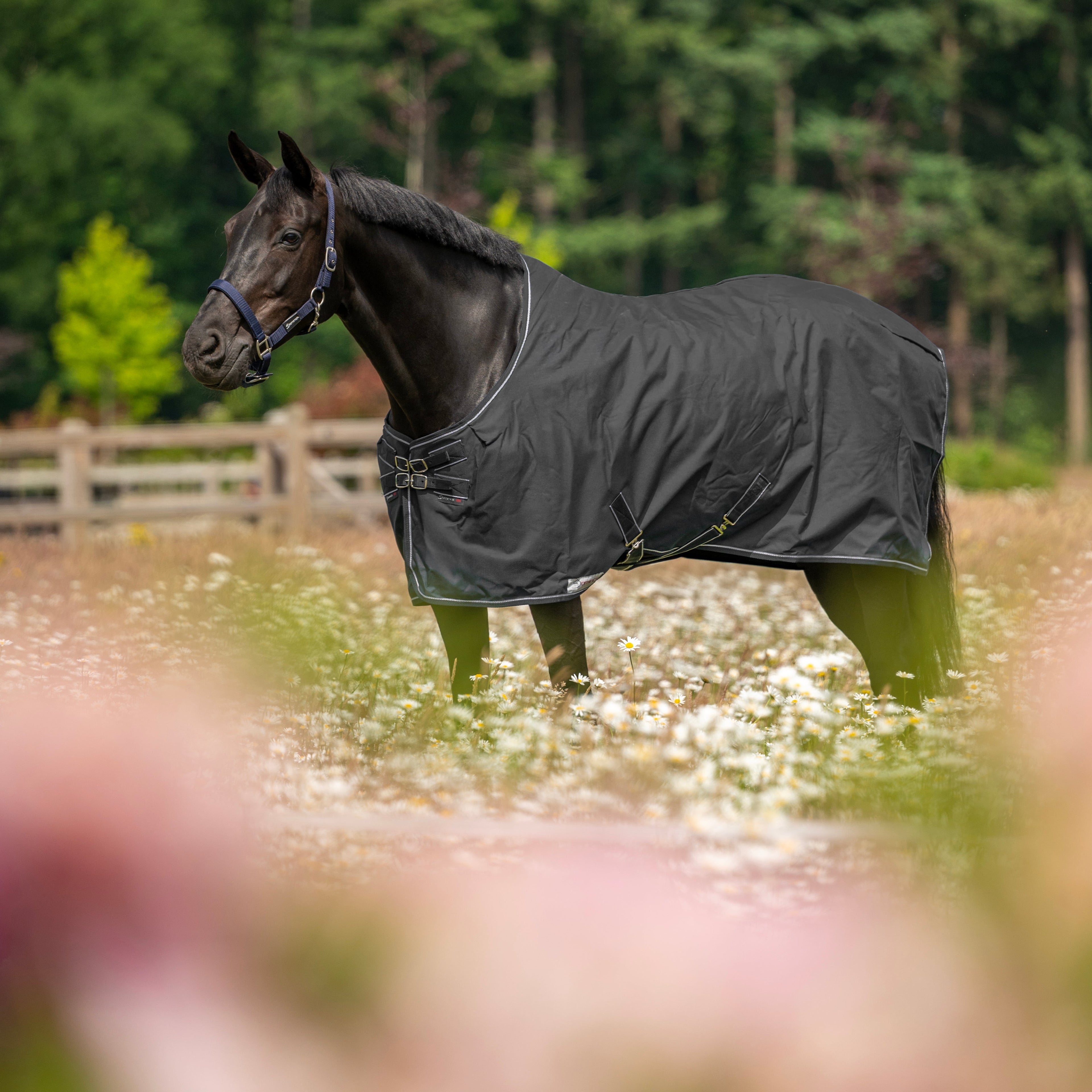 Dominick staldeken Heavy 350 gr