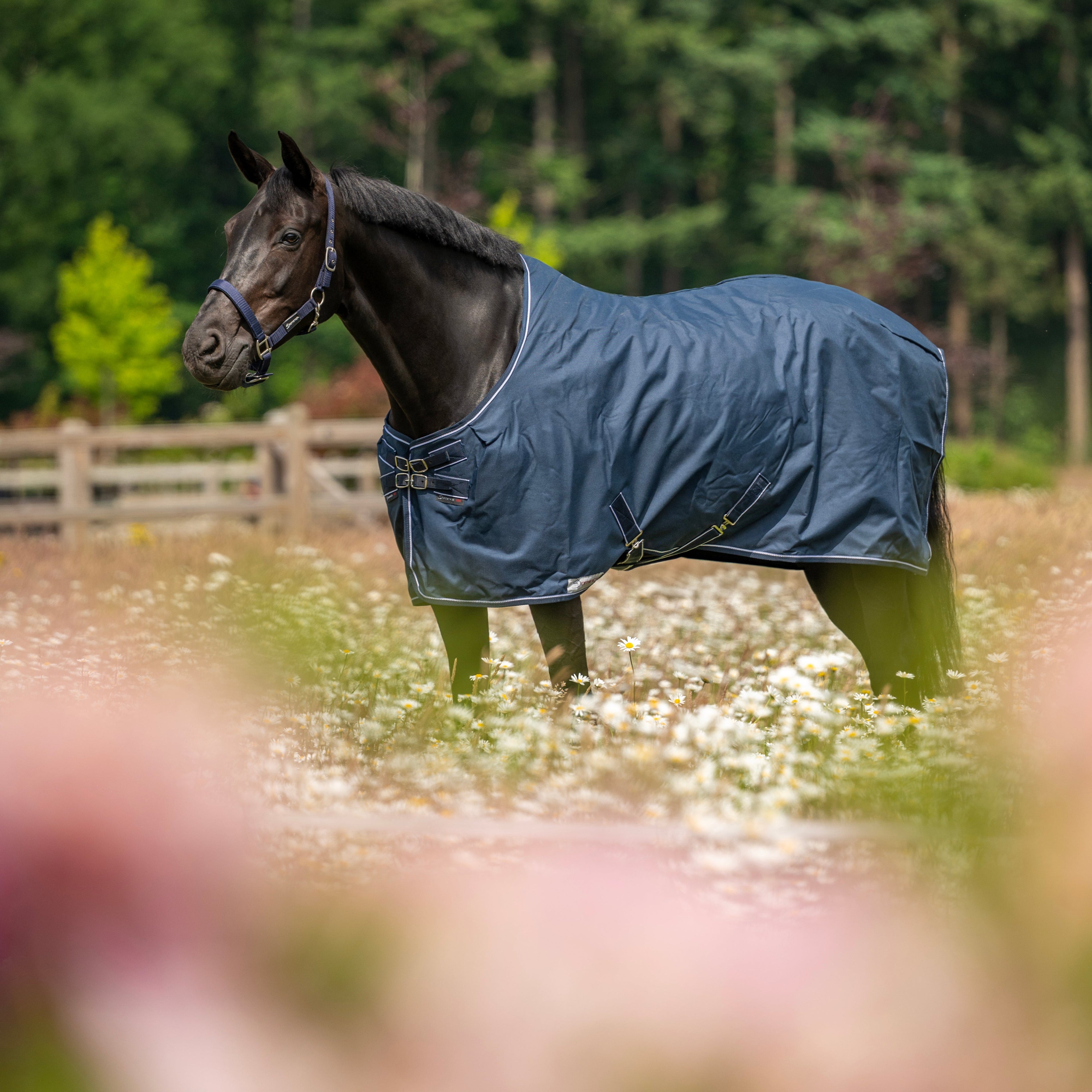 Dominick staldeken Heavy 350 gr