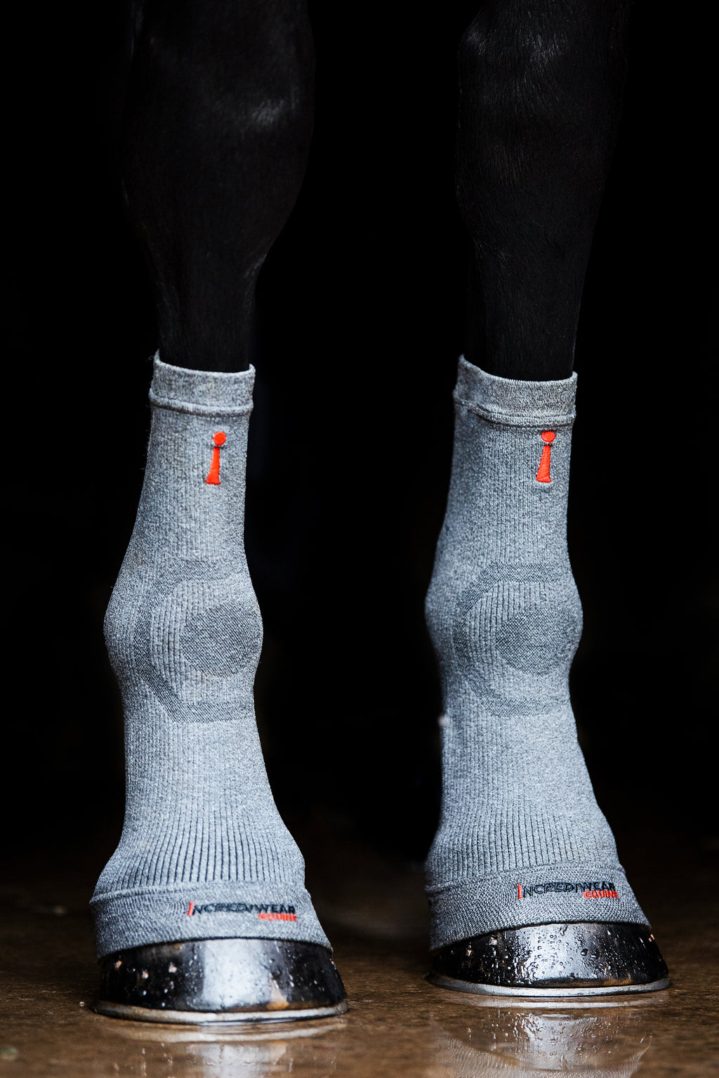 Incrediwear Equine Hoof socks