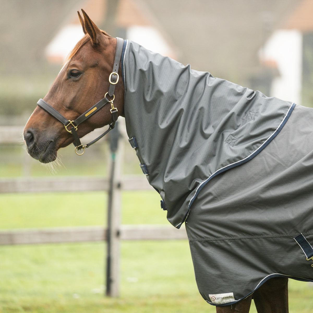 Dominick Halsdeel 600D 150g