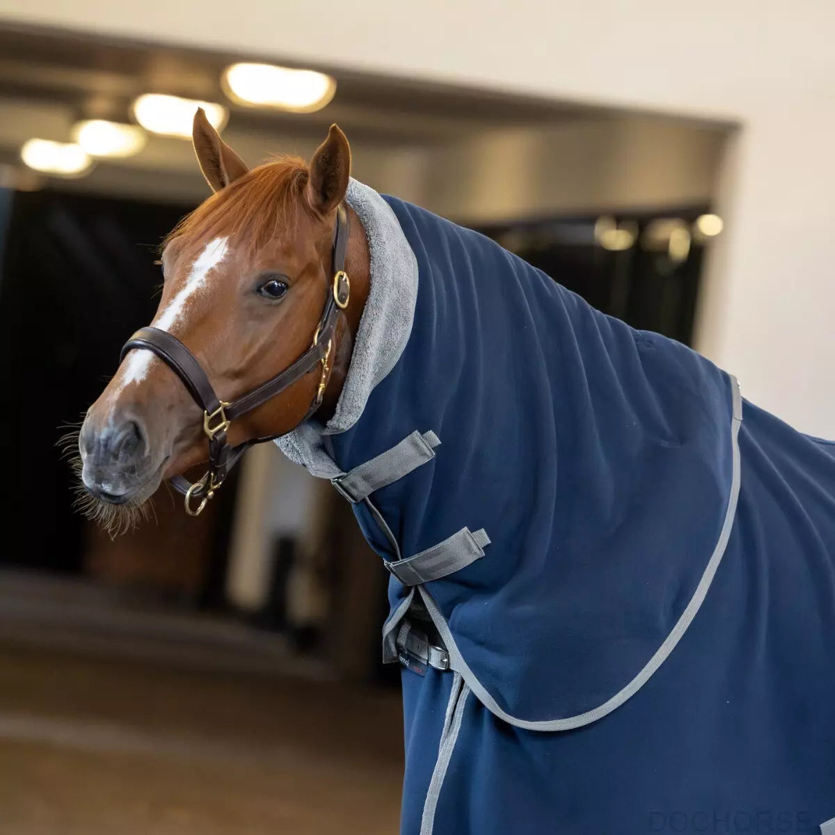 Dominick Halsdeel Cosy