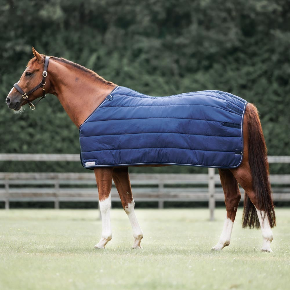 Dominick liner 200GR