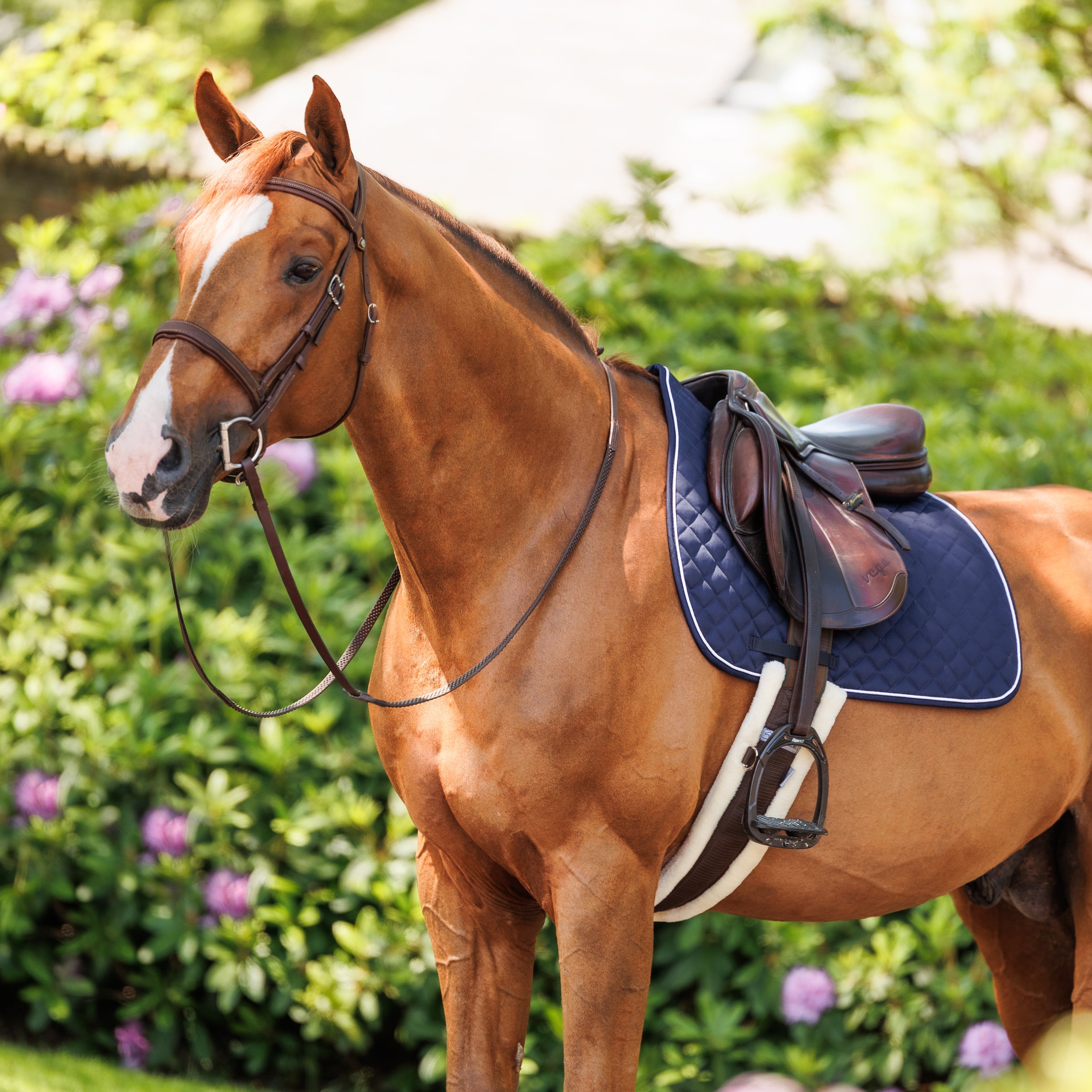 Dominick singel Fleece